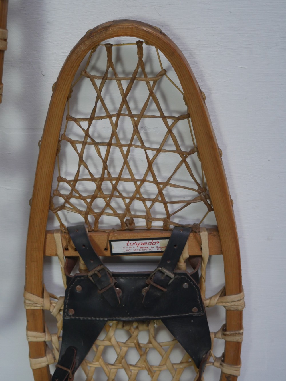 Pair Snow Shoes View VI