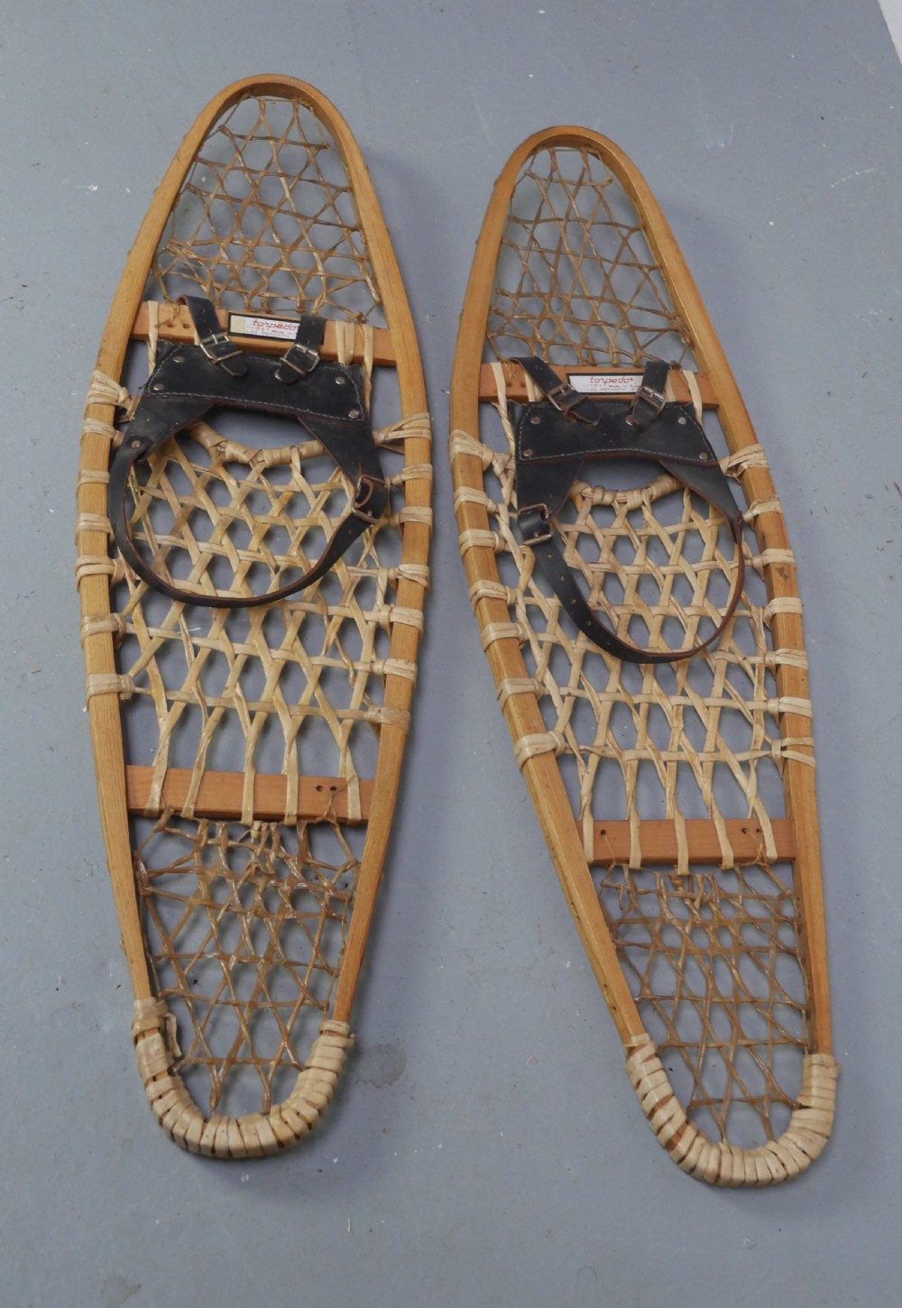 Pair Snow Shoes View IX