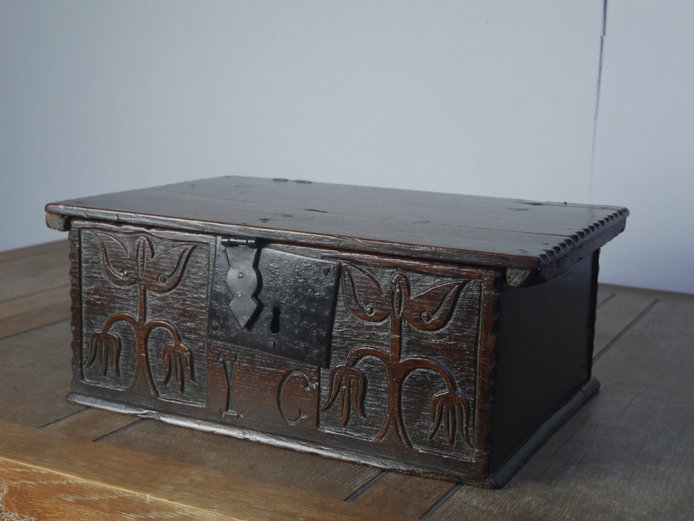 A dark carved oak box with hand-carved botanical motifs on the front panel and a central iron lockplate. View IX