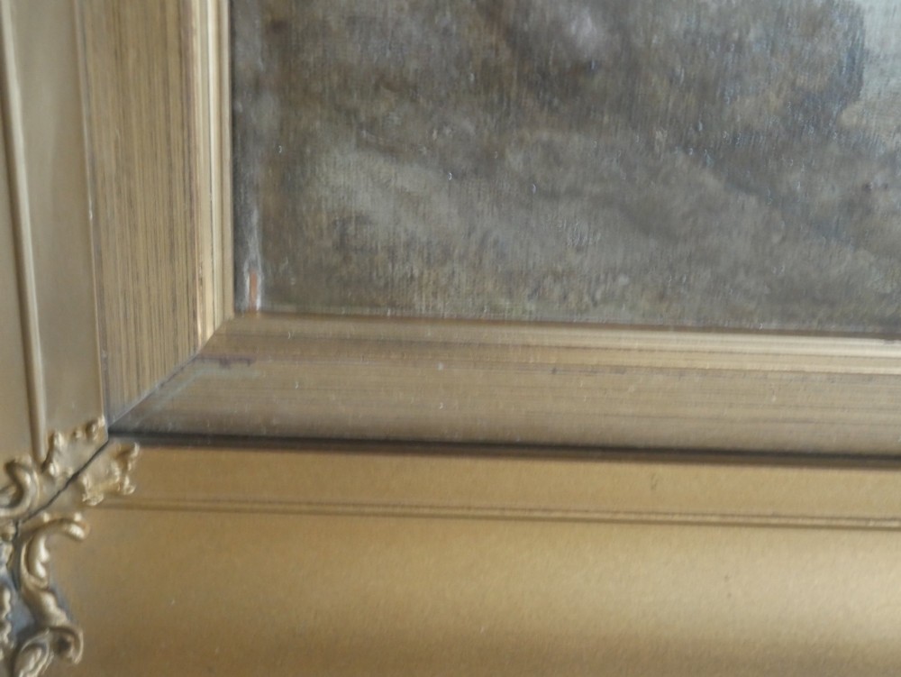 Alternate View