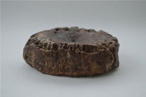 A NICE LARGE ICHTHYOSAUR VERTABRAE - ADDITIONAL PHOTO 1