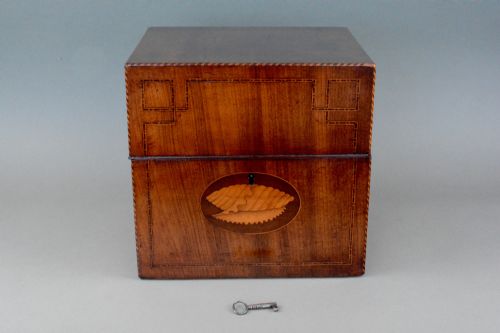 GEORGIAN MAHOGANY SHELL INLAID BOX - ADDITIONAL PHOTO 1
