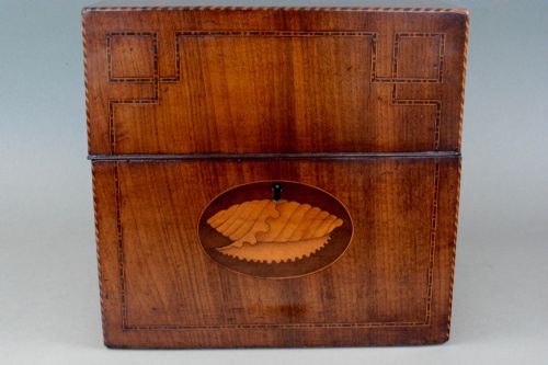 GEORGIAN MAHOGANY SHELL INLAID BOX - ADDITIONAL PHOTO 2