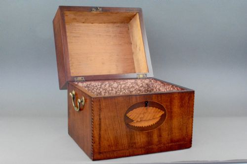 GEORGIAN MAHOGANY SHELL INLAID BOX - ADDITIONAL PHOTO 3