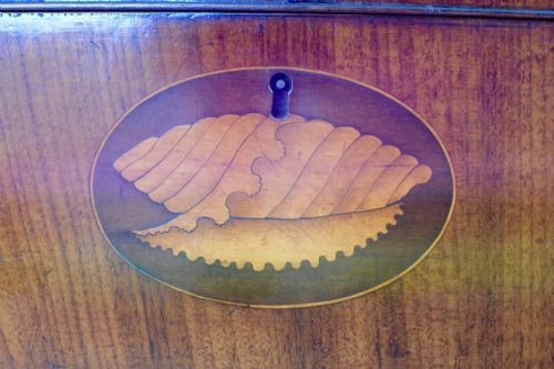 GEORGIAN MAHOGANY SHELL INLAID BOX - ADDITIONAL PHOTO 7