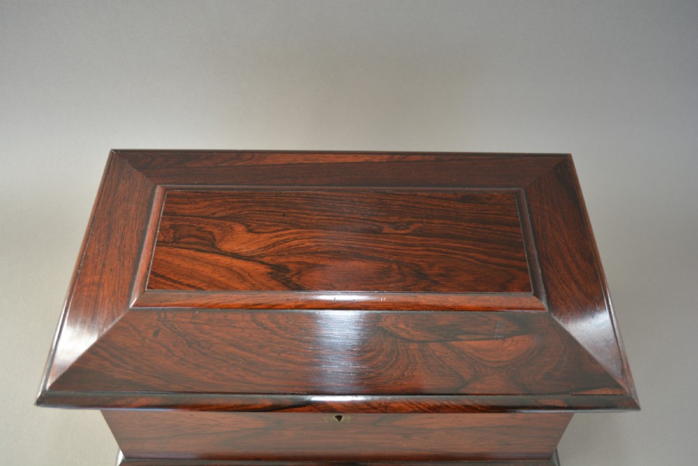 Large Rosewood William IV sarcophagus tea caddy English circa.1835 View III