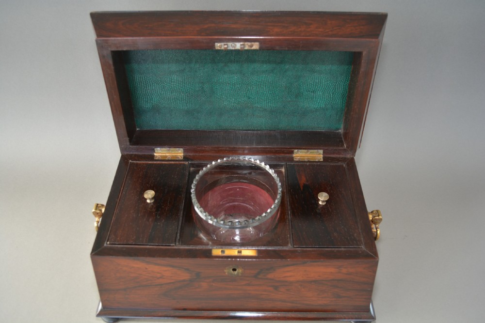 Large Rosewood William IV sarcophagus tea caddy English circa.1835 View V