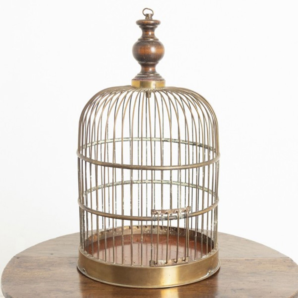 A cylindrical brass bird cage featuring vertical wire bars, a domed top surmounted by a turned wooden finial, and a circular brass base.