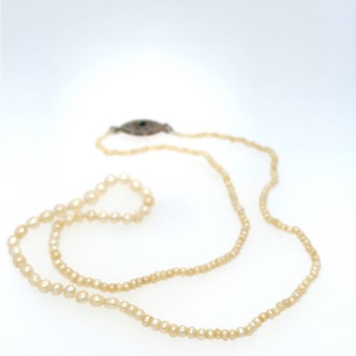 fig 2. Certified Natural Saltwater Pearl Necklace