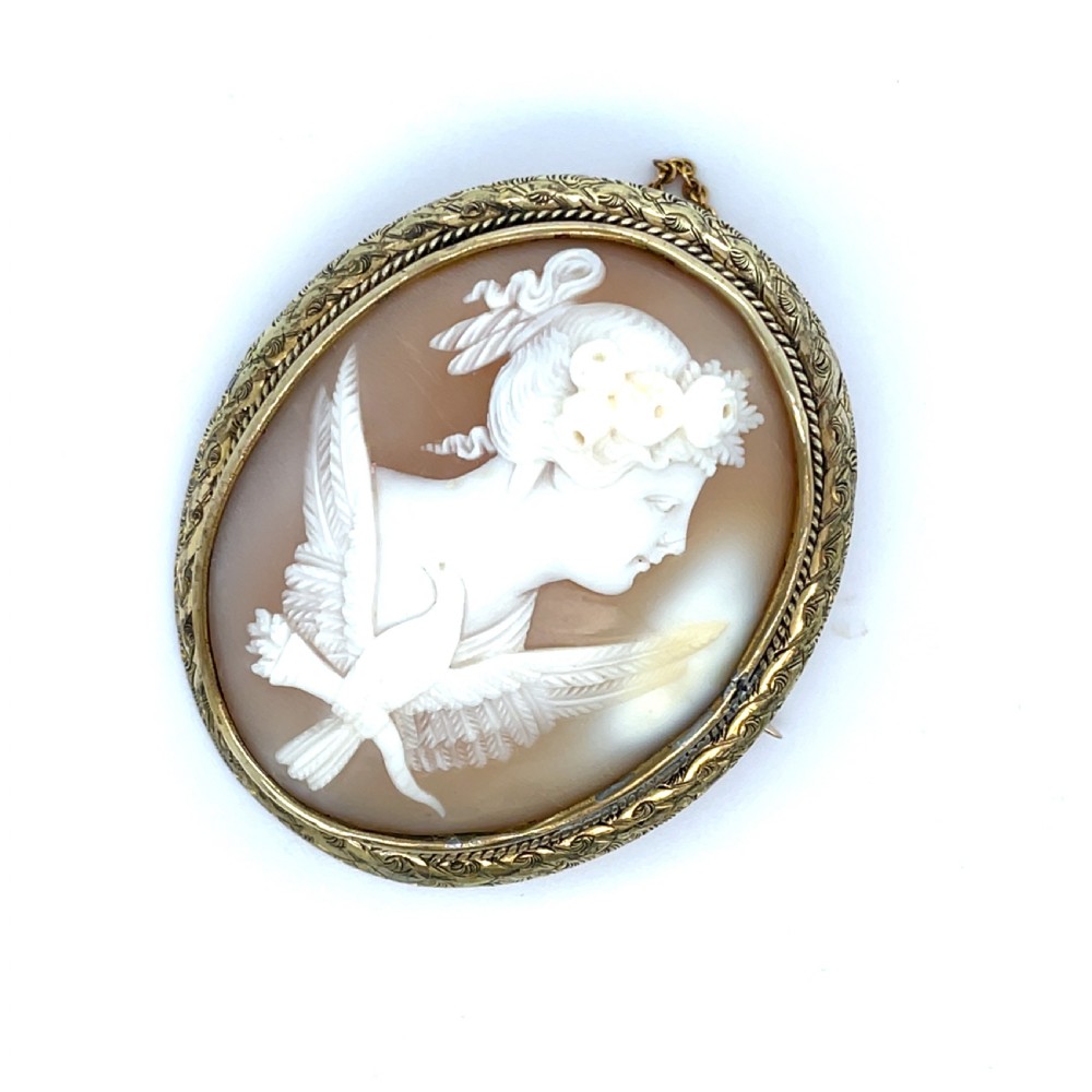 An oval carved shell cameo brooch depicting a classical profile figure with a winged dove motif, mounted in an engraved gold frame.