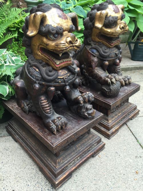 Pair of Large and Impressive Late C19th /Early C20th Chinese Carved Wood Polychrome Paint and Gilt Decorated 'Dogs of Foo'.