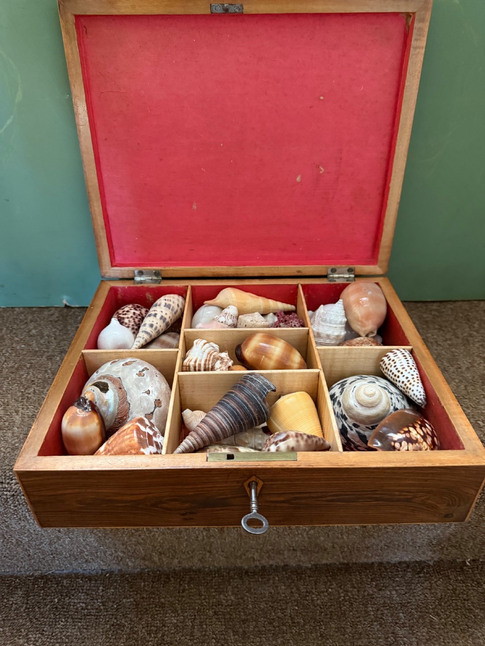 A nineteenth-century rectangular rosewood box featuring a geometric specimen wood parquetry lid and a central keyhole. View VIII