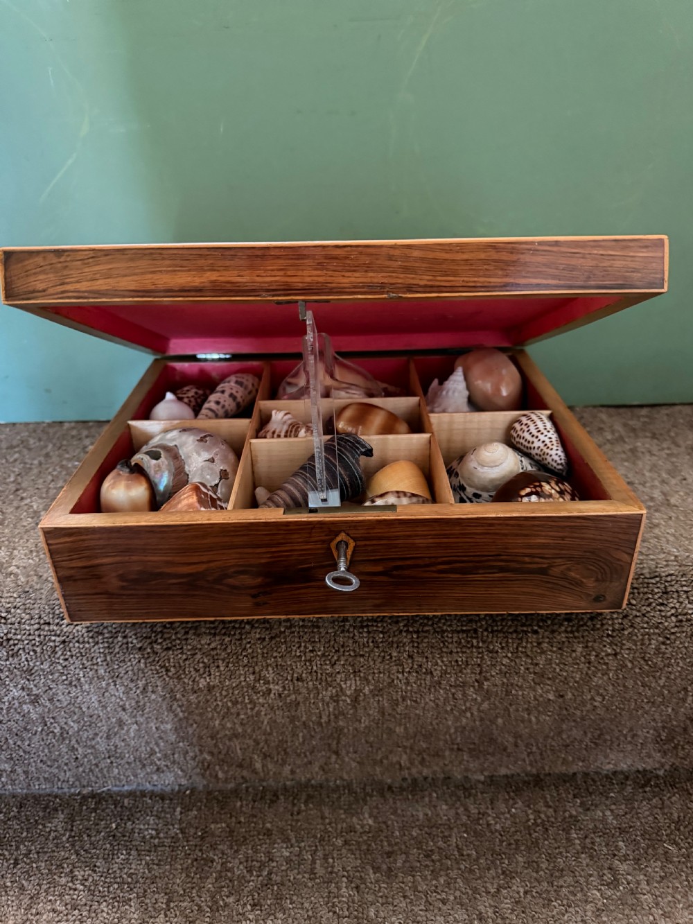 A nineteenth-century rectangular rosewood box featuring a geometric specimen wood parquetry lid and a central keyhole. View X