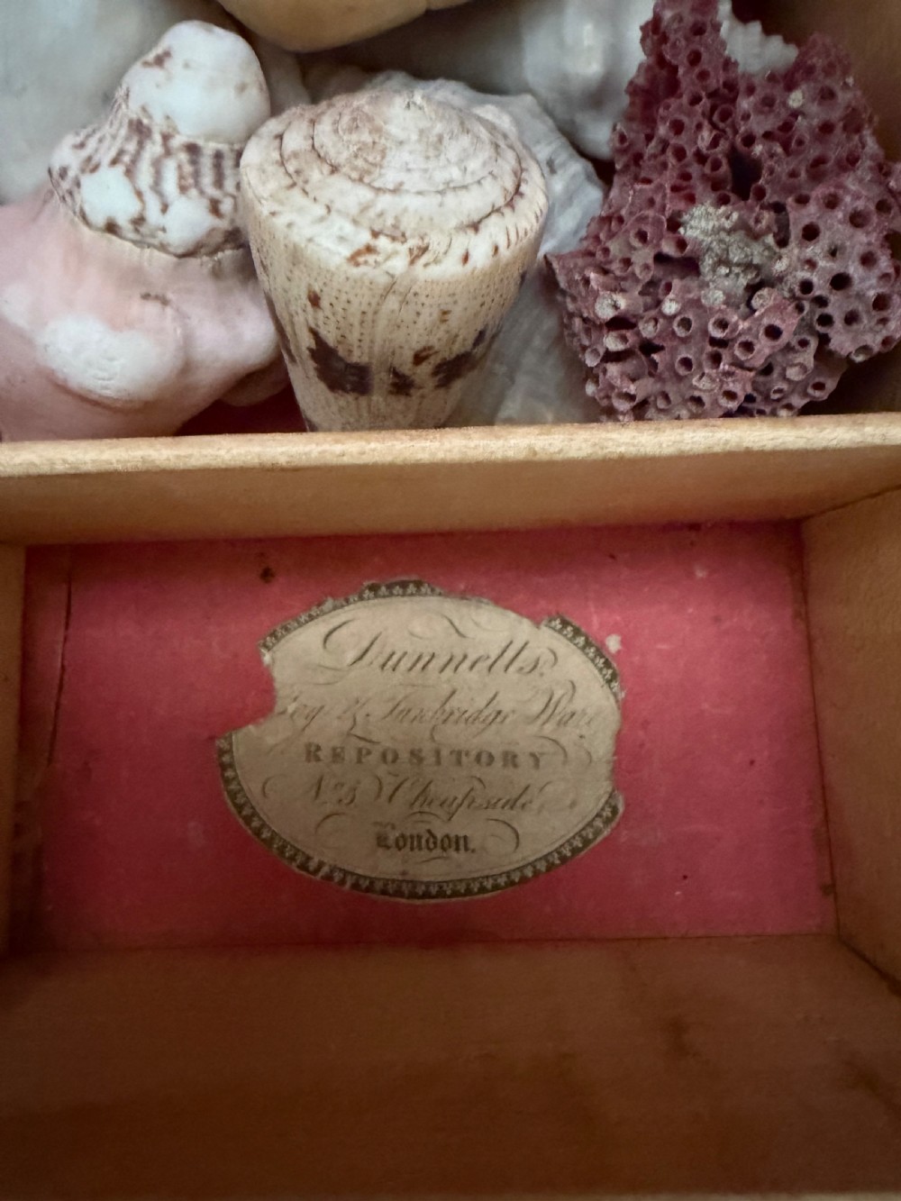 A nineteenth-century rectangular rosewood box featuring a geometric specimen wood parquetry lid and a central keyhole. View XII