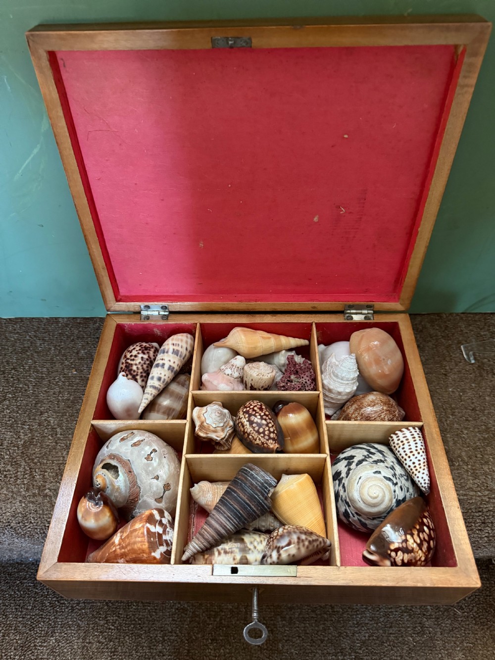 A nineteenth-century rectangular rosewood box featuring a geometric specimen wood parquetry lid and a central keyhole. View XIII
