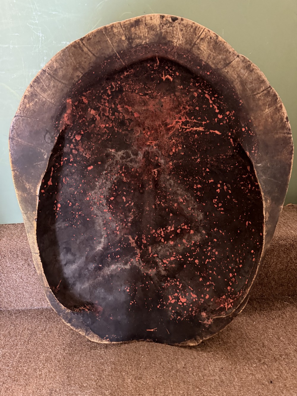 A large, polished blonde turtle carapace featuring distinct natural geometric scute sutures and a smoothly domed oval form. View XI