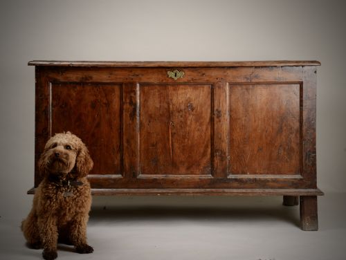 RARE SOLID YEW WOOD CHEST - ADDITIONAL PHOTO 15