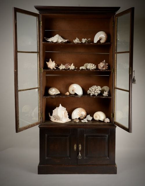 EARLY C18TH DISPLAY CASE - ADDITIONAL PHOTO 6