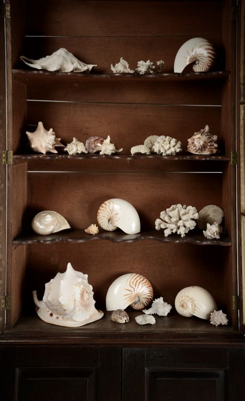 EARLY C18TH DISPLAY CASE - ADDITIONAL PHOTO 7