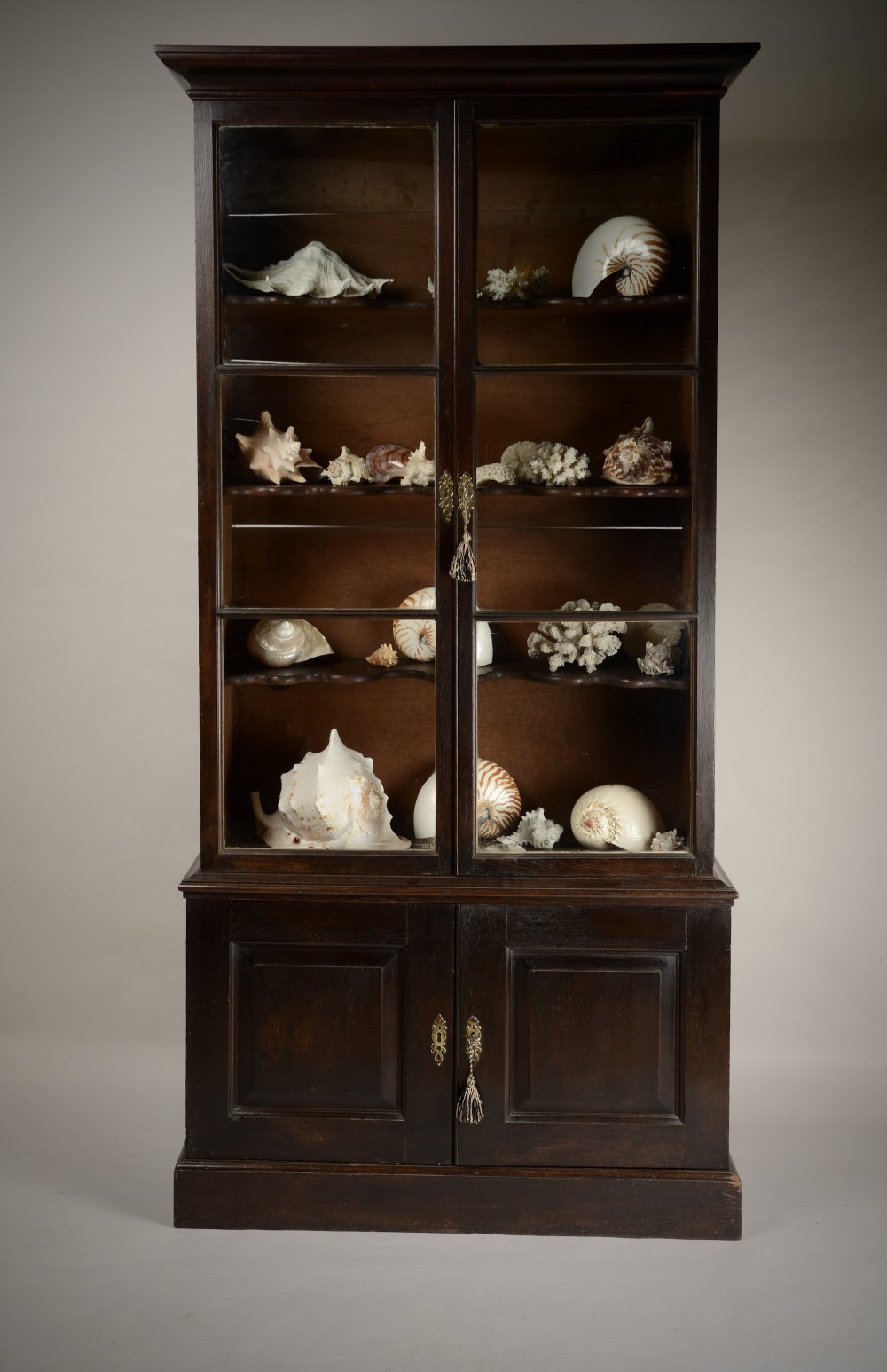 Early C18th Display case.