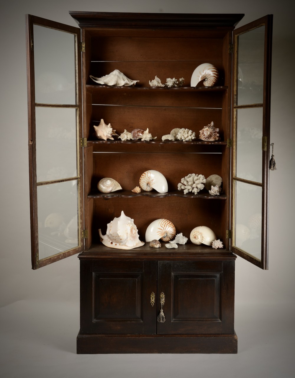 Early C18th Display case. View VII