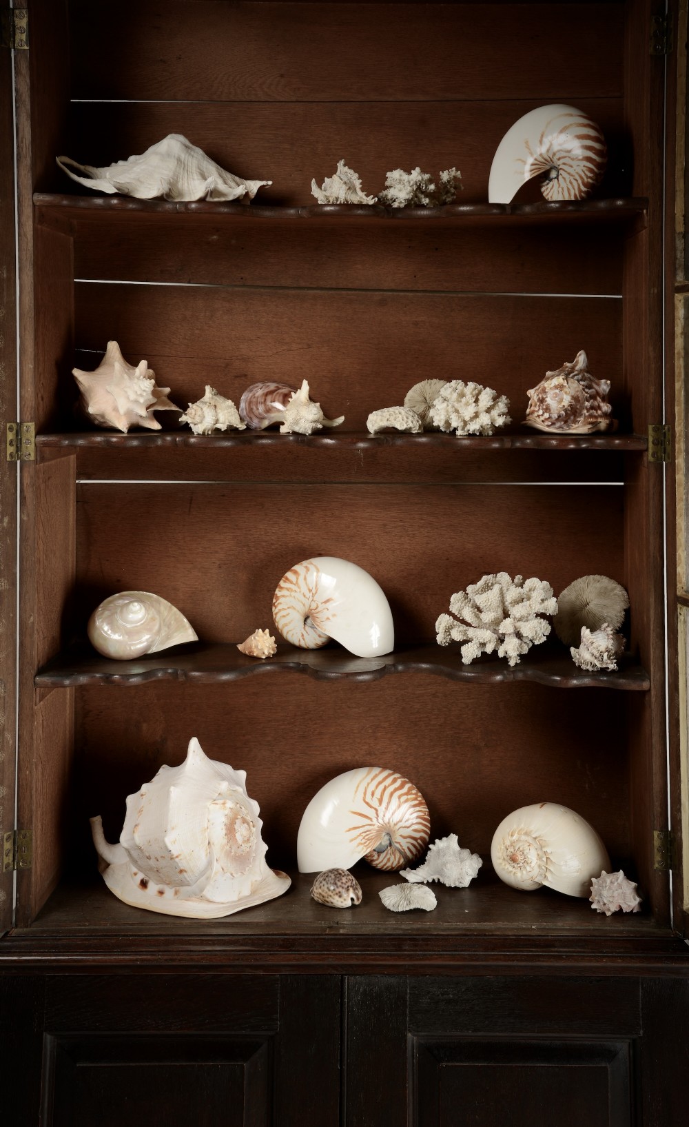 Early C18th Display case. View VIII