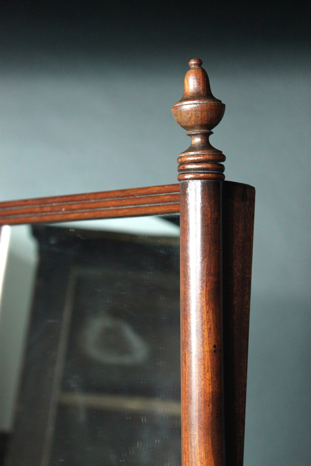 Cheval Glass View III