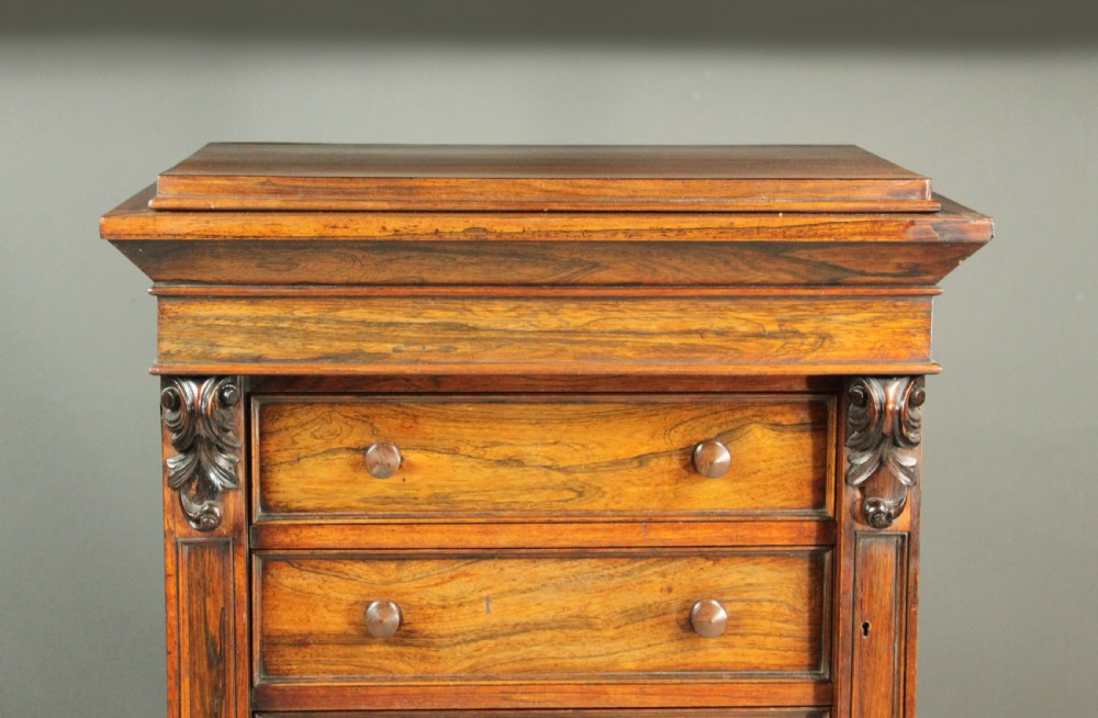 A tall, narrow Victorian rosewood Wellington chest featuring seven stacked drawers with wooden knob handles and a hinged side locking bar. View V