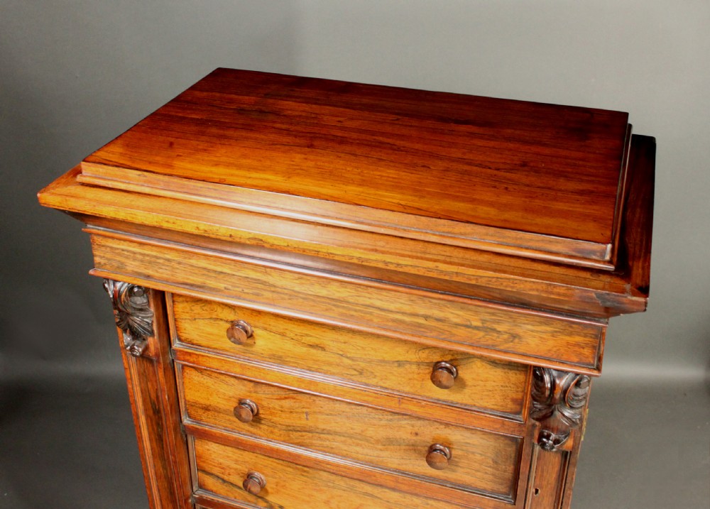 A tall, narrow Victorian rosewood Wellington chest featuring seven stacked drawers with wooden knob handles and a hinged side locking bar. View VIII