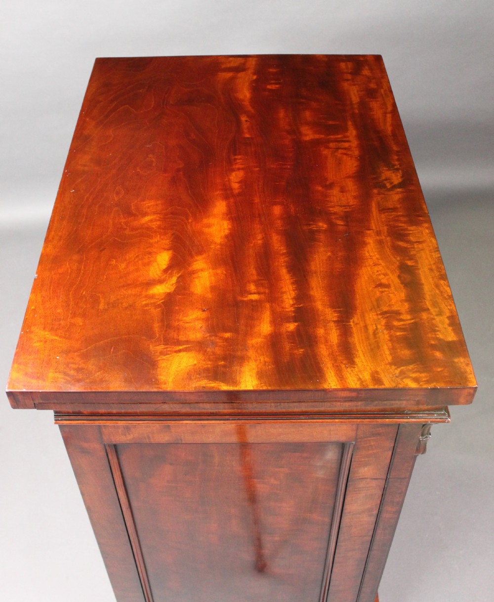 A nineteenth-century flame mahogany library cabinet featuring carved pilasters, reeded side columns, and a single recessed panel door set on a solid plinth base. View IX