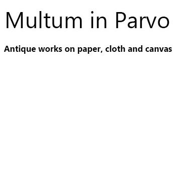 Multum in Parvo