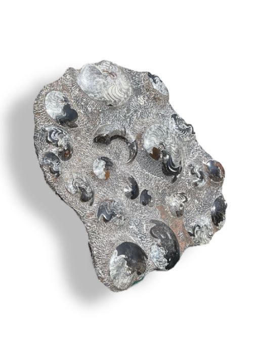 LARGE AMMONITE FOSSIL CLUSTER - ADDITIONAL PHOTO 2