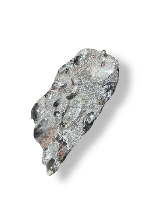LARGE AMMONITE FOSSIL CLUSTER - ADDITIONAL PHOTO 7