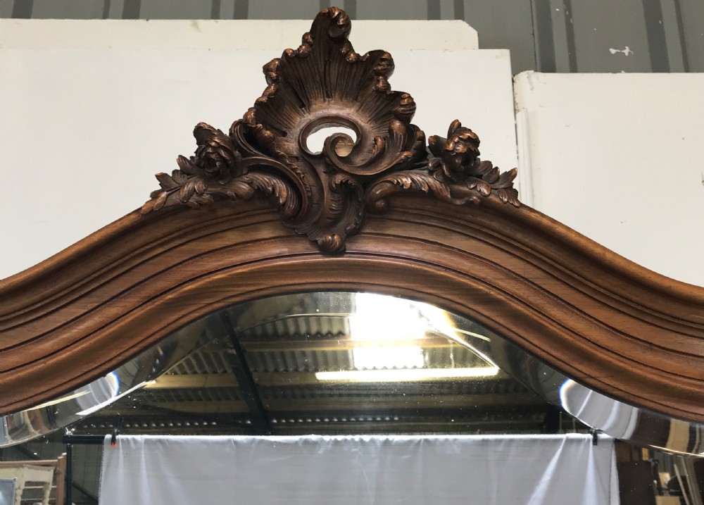 Cheval Mirror View III