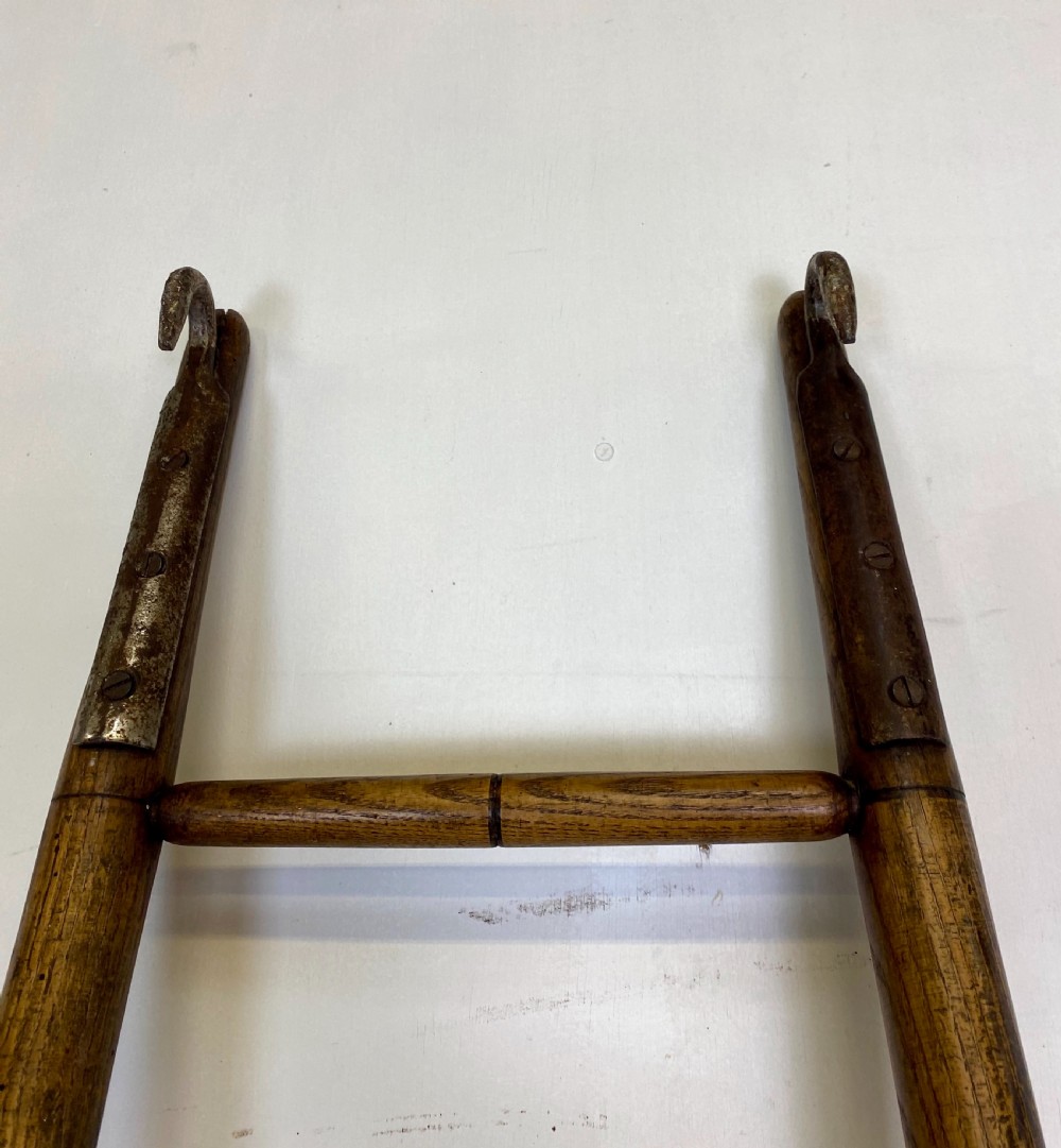 Library Ladder View IX