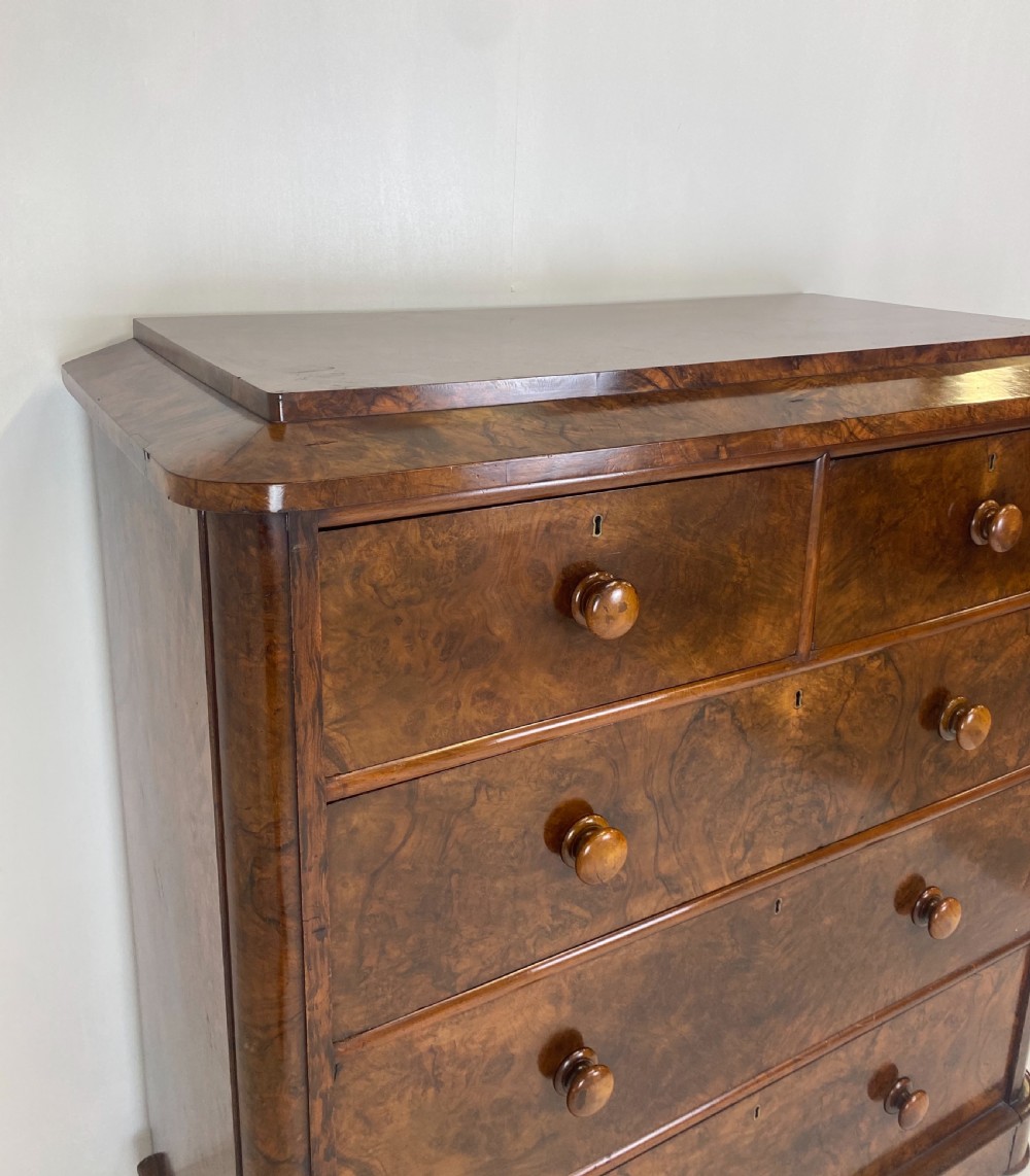Burr Walnut Chest of Drawers View III