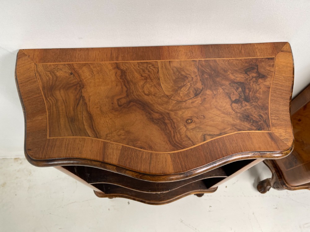 Pair Of Walnut Bookcases View V