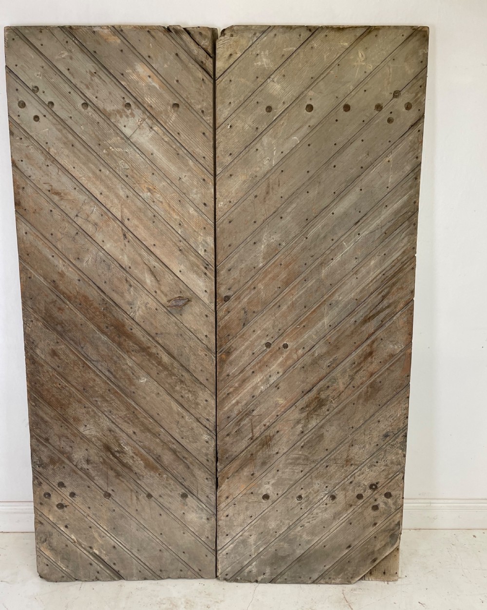 Pair of !9 th century  doors 
