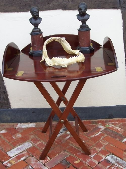 19th C Mahogany Butler's Tray