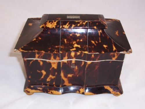 19th C Tortoiseshell Tea Caddy