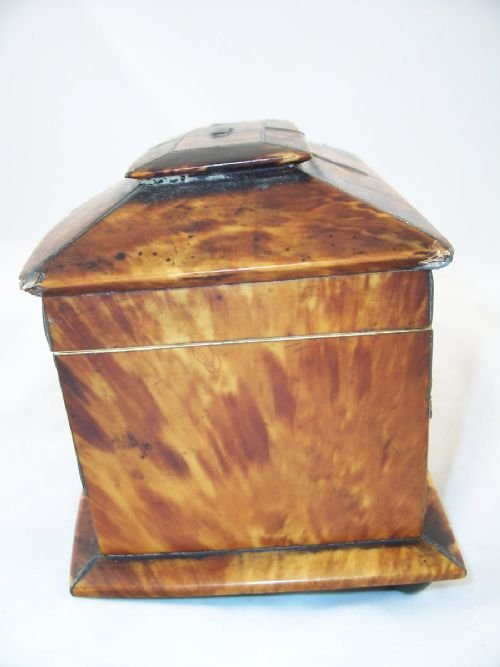 fig 1. 19th C Tortoiseshell Tea Cadyy