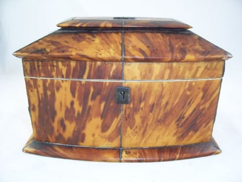 19th C Tortoiseshell Tea Cadyy