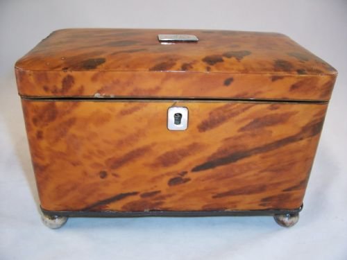 19th C Tortoiseshell Tea Caddy