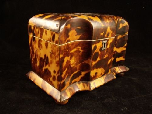 19th C Tortoiseshell Tea Caddy