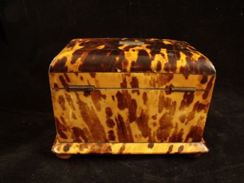 fig 1. 19th C Tortoiseshell Tea Caddy