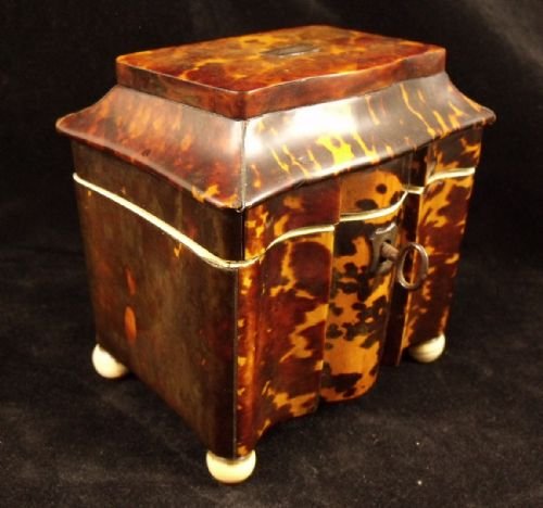 19th C Tortoiseshell Tea Caddy