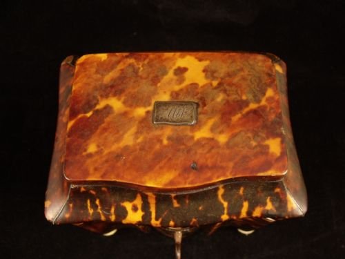 fig 1. 19th C Tortoiseshell Tea Caddy