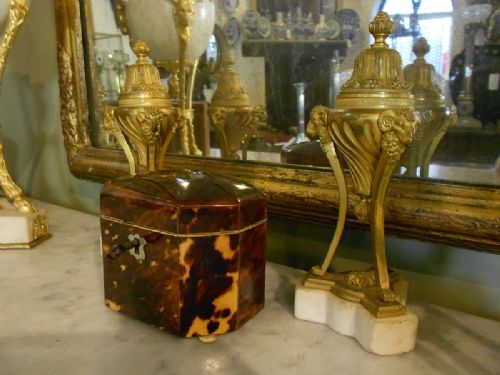 19th C Tortoiseshell Tea Caddy