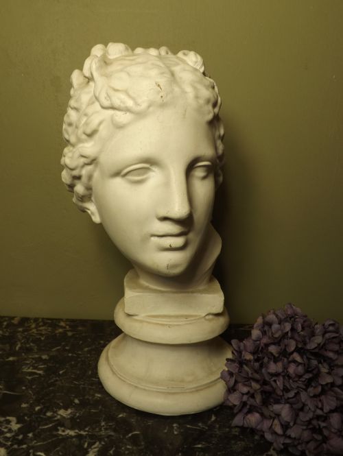 Plaster Bust of Venus