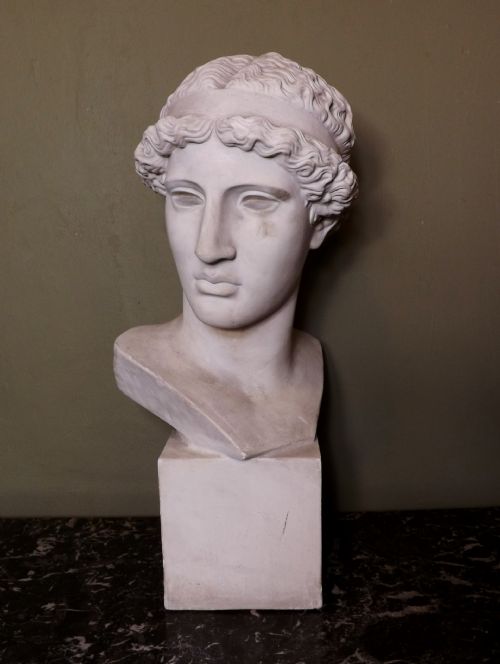 Plaster Bust of Apollo